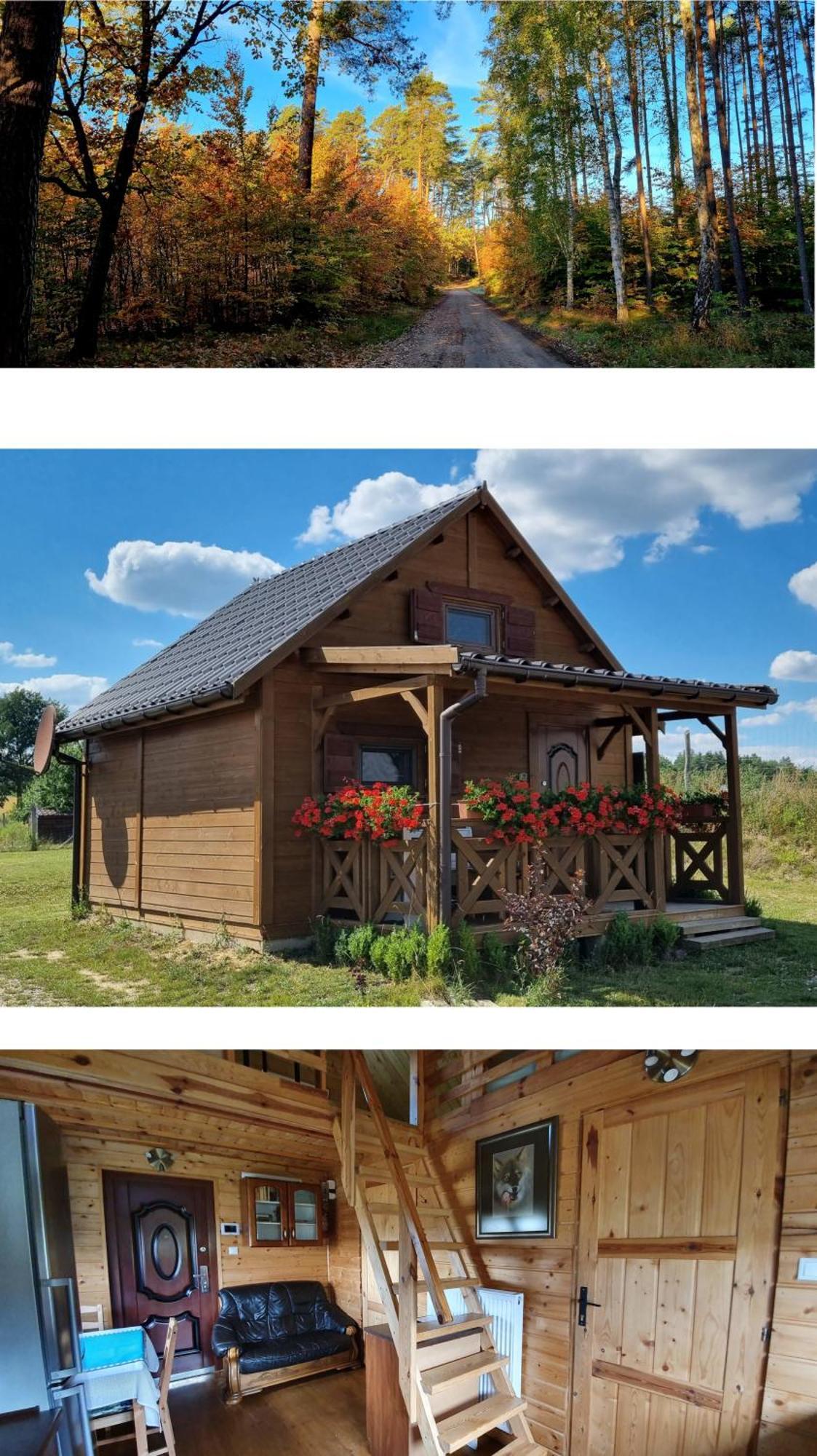 Domek Triftberg Chojna Luaran gambar